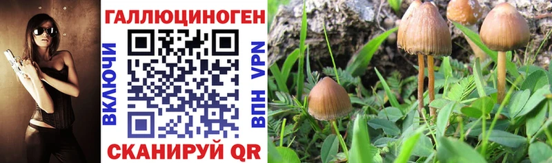 Галлюциногенные грибы Magic Shrooms  Гороховец 